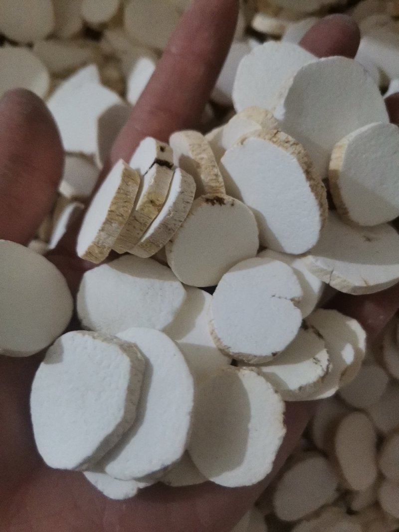 广山药质量保证大量批发零售