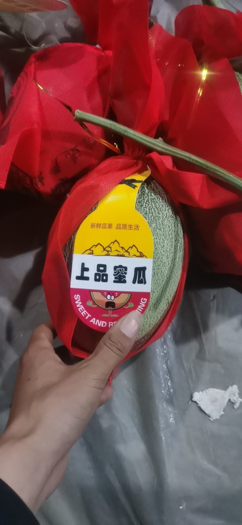西周蜜17，25，等洋香瓜