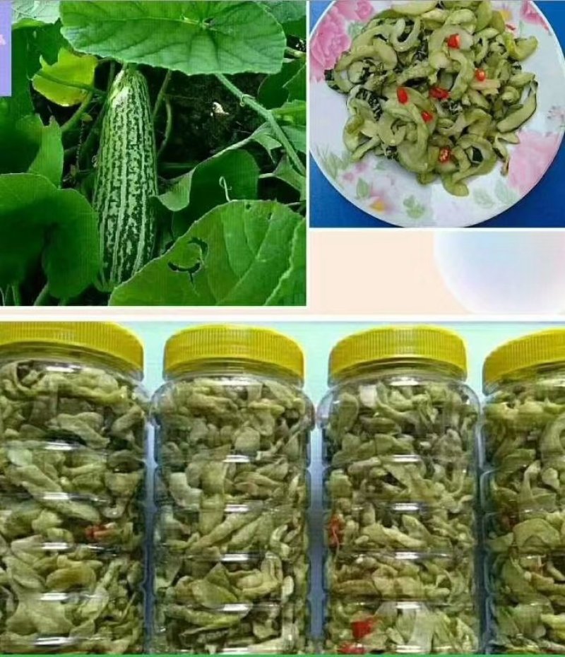 黄瓜～地瓜榨～本地土特产