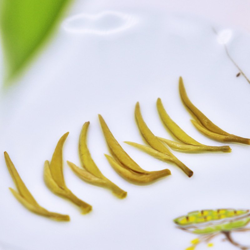 批发茉莉花茶散装茶叶广西横县浓香型茉莉飘雪