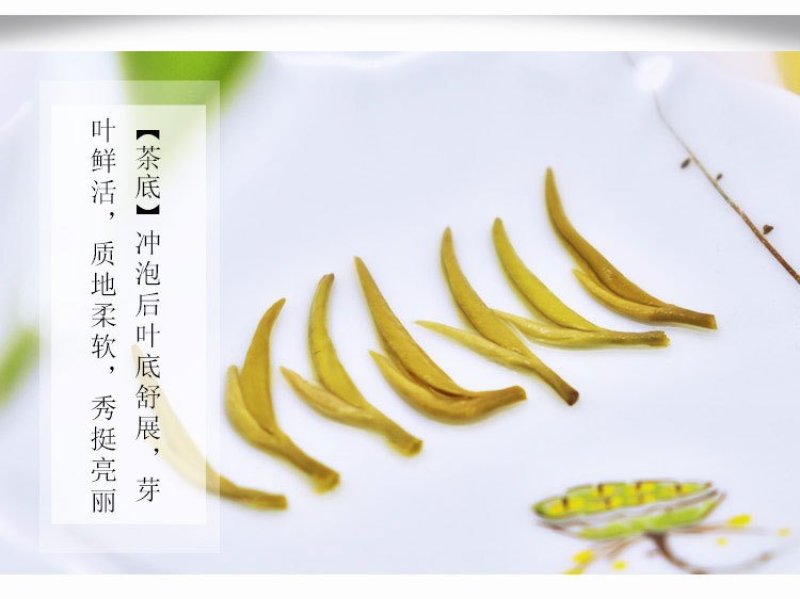 批发茉莉花茶散装茶叶广西横县浓香型茉莉飘雪