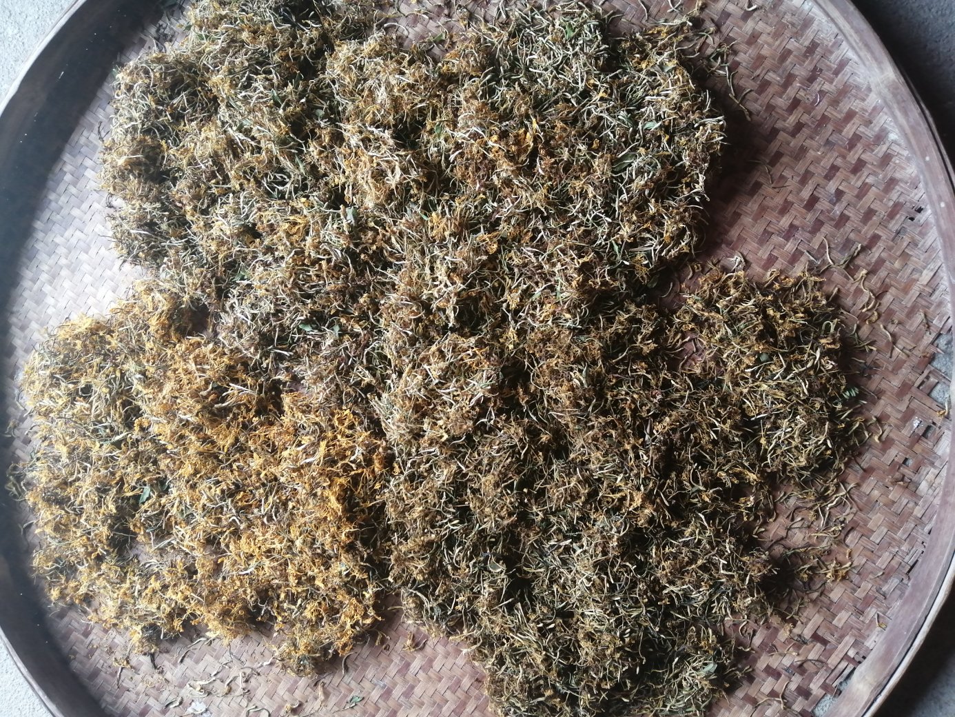 天芥菜花的茎叶和花朵被采摘后晾干,用于中药煎煮,背景为中药材展示台 天芥菜花药用部分的特写图