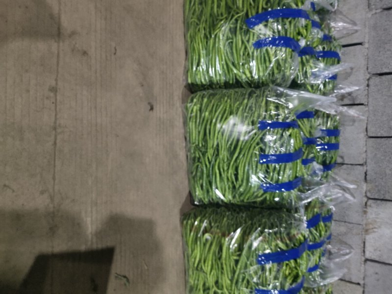 精品线椒大量有货，产地现货，货源充足品质保证价格美丽