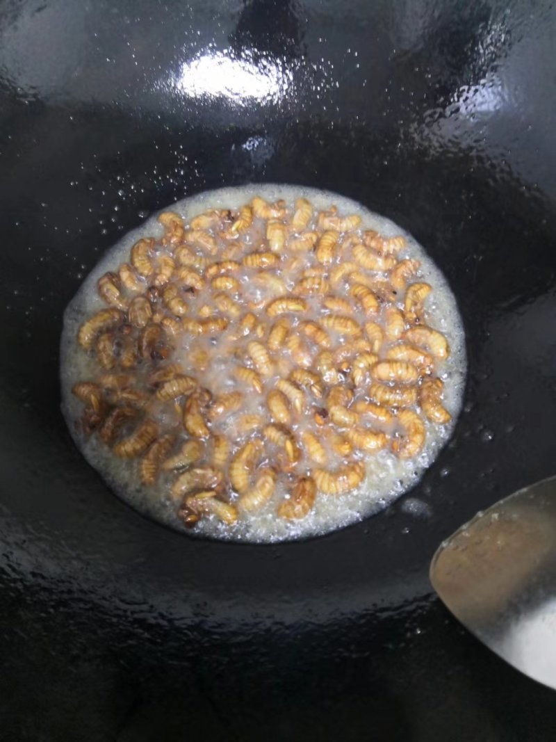 金蝉～小金蝉，一手货源