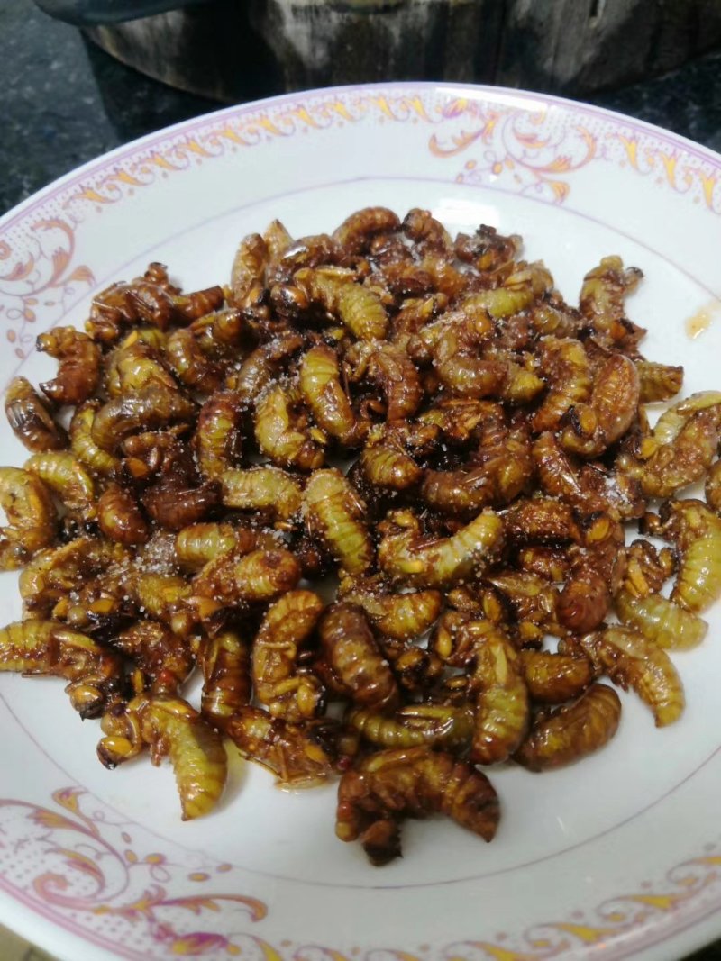 金蝉～小金蝉，一手货源