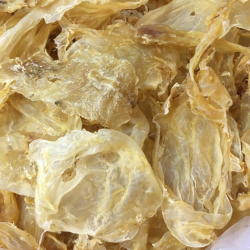 超厚肉大块开片鱼胶鳘鱼肚花胶