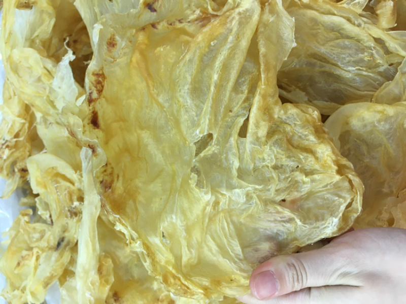 超厚肉大块开片鱼胶鳘鱼肚花胶