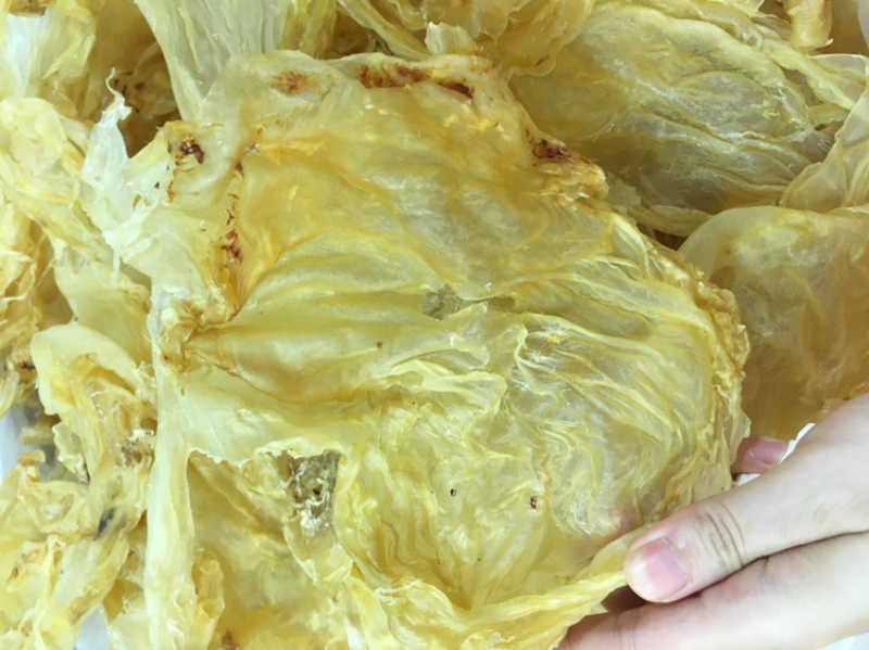 超厚肉大块开片鱼胶鳘鱼肚花胶