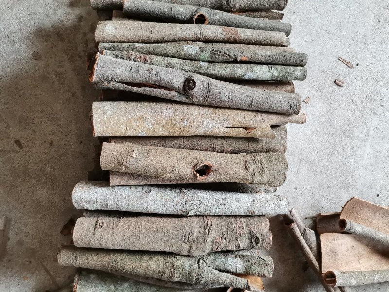 玉桂皮广西玉桂通货干货厂家直销