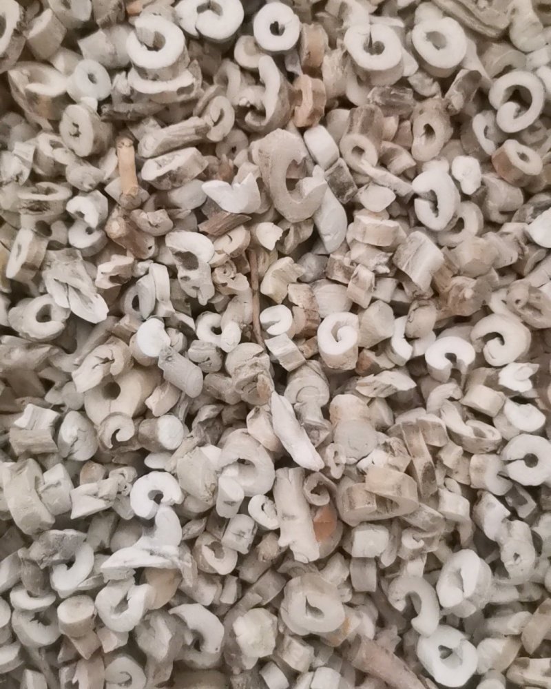 牡丹皮大量批发零售