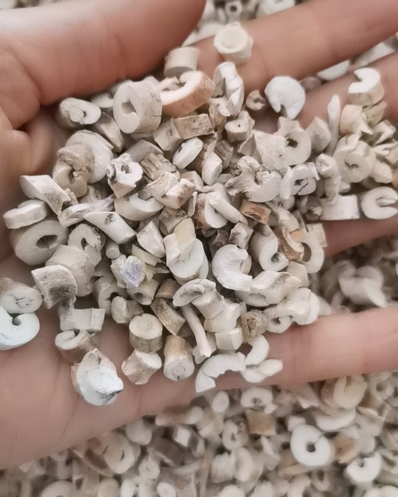 牡丹皮大量批发零售