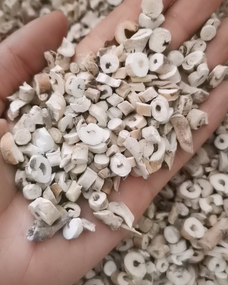 牡丹皮大量批发零售