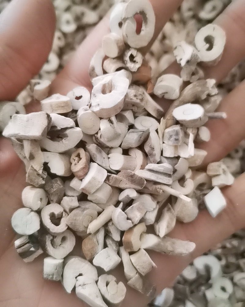 牡丹皮大量批发零售
