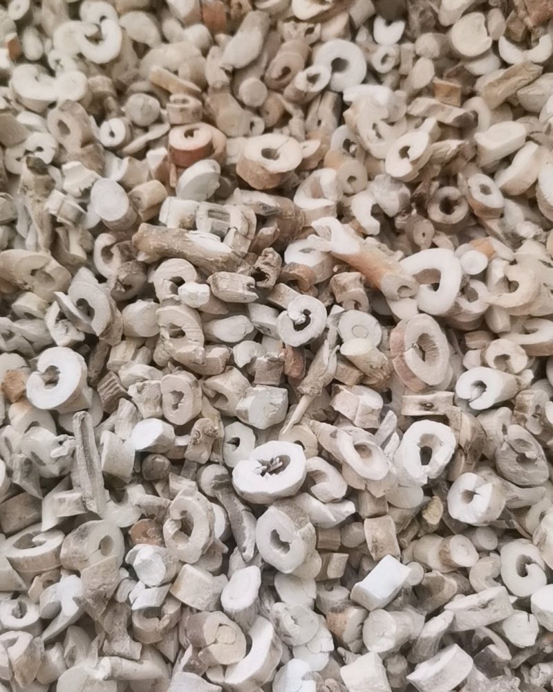 牡丹皮大量批发零售