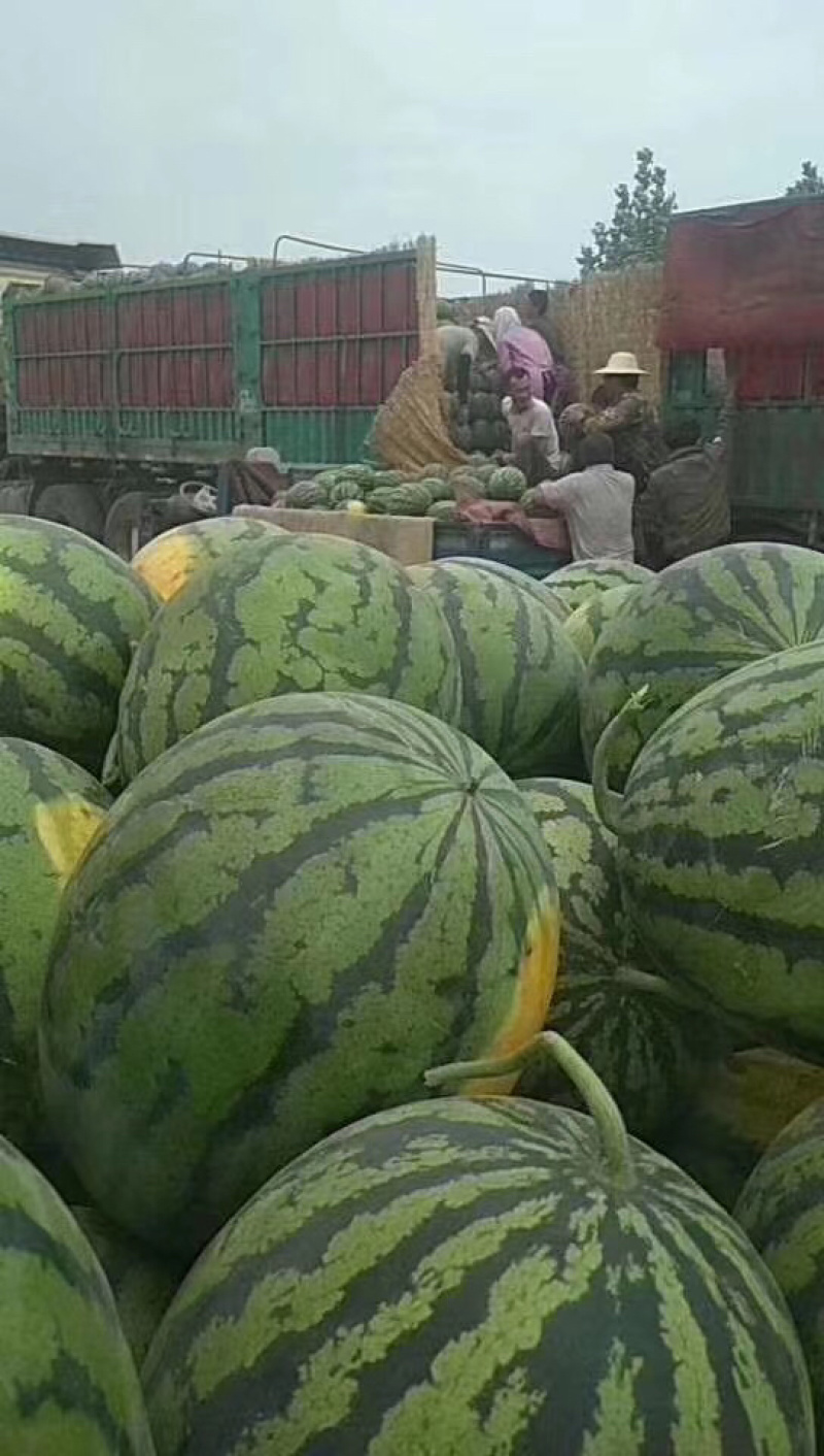 阎良甜王直播精品