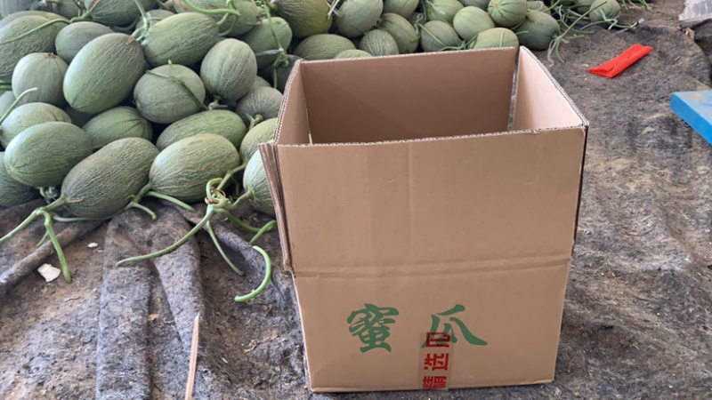 哈密瓜一件代发
