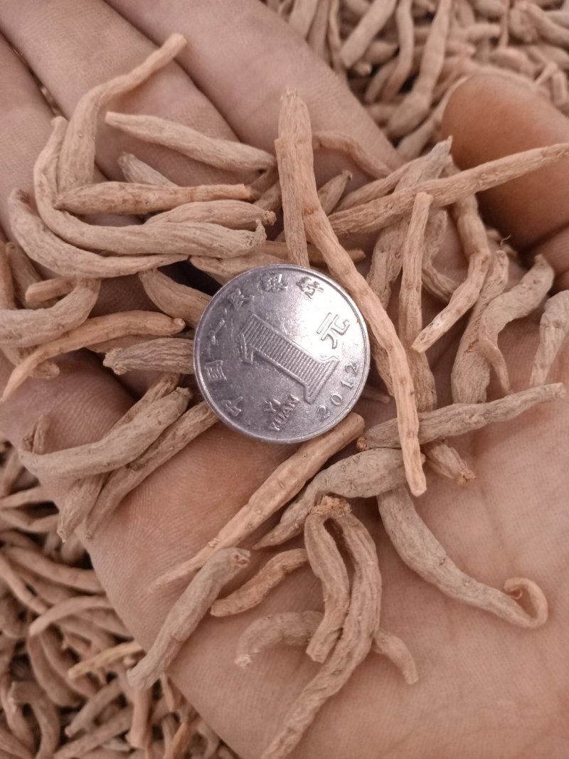 太子参各种规格统货大货供应可打粉常年供应全国发货