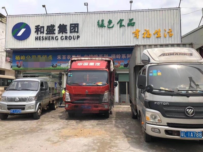 三黄鸡，公鸡，阉鸡麻鸡胡须鸡