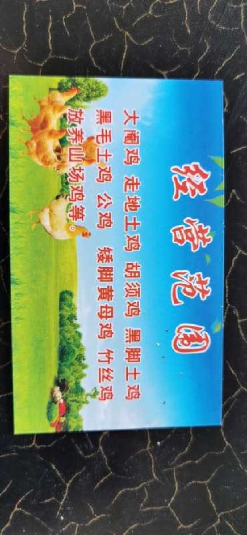 三黄鸡，公鸡，阉鸡麻鸡胡须鸡