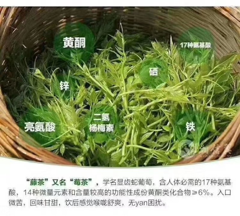 莓茶