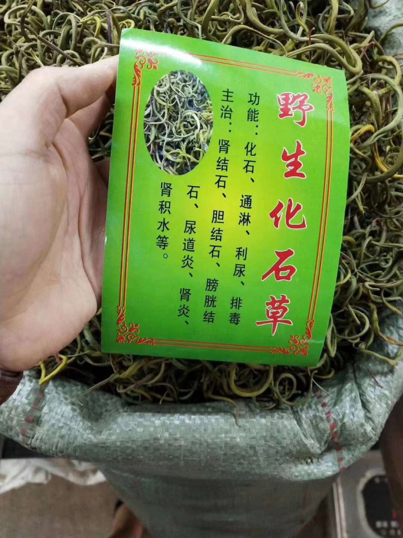 化石草肾精草正品野生化石草批发品质保证