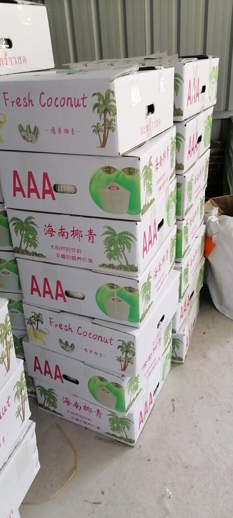 长期供应海南椰青