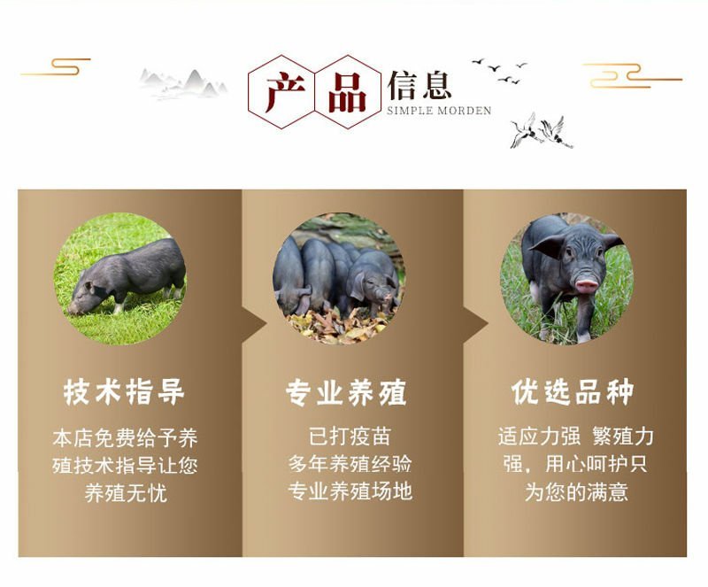 出售猪仔活体，长白太湖杜洛克二元三元等品种