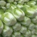 【平台力推】产地直发【诚实守信】颗颗饱满【量大从优】白菜