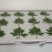 [蕲春艾草]蕲北艾农直销，告别中间商差价。