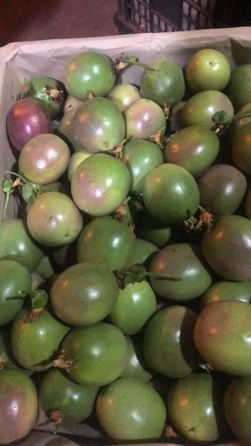 芒果