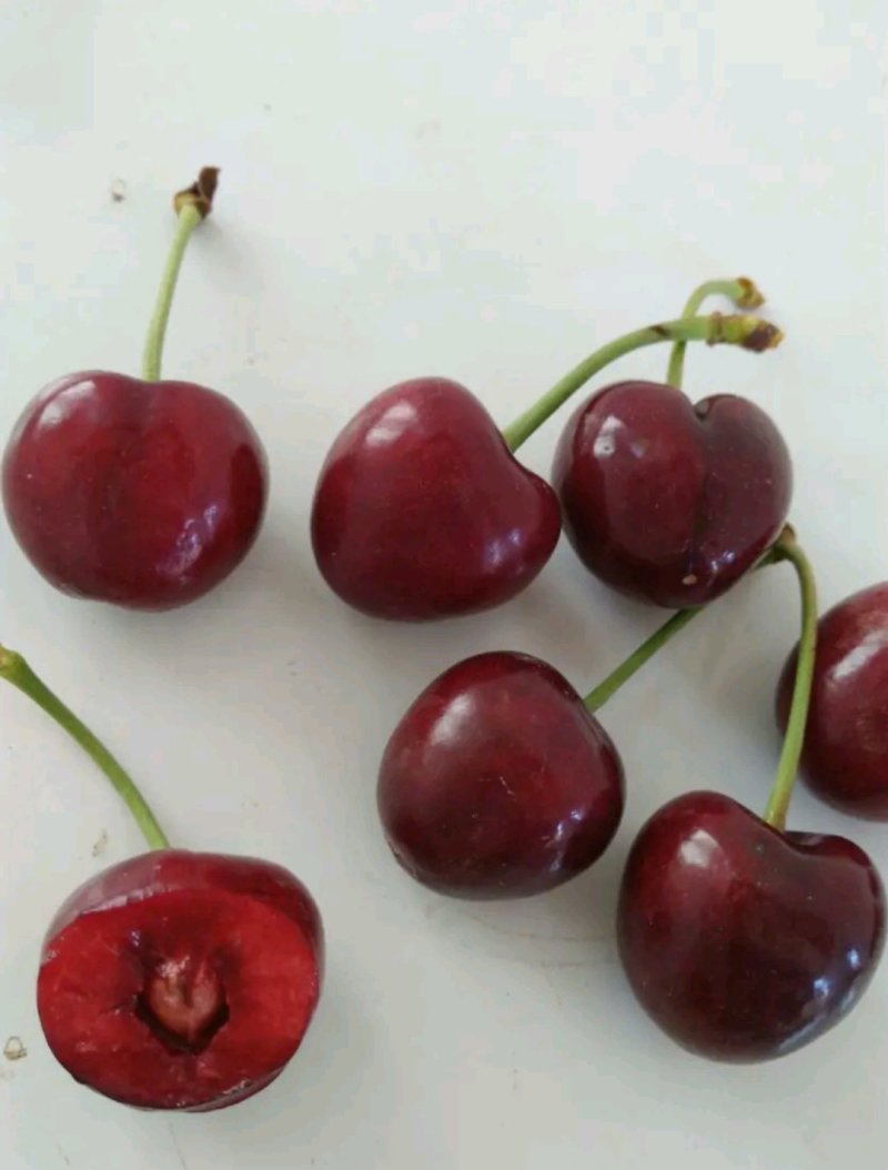 樱桃