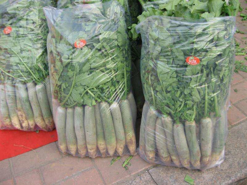 预售精品绿萝卜，绿皮绿心，产地直供，产地价格