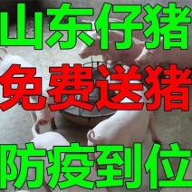 辽宁三元仔猪繁育基地常年供应优质仔猪！价格低！防疫好！