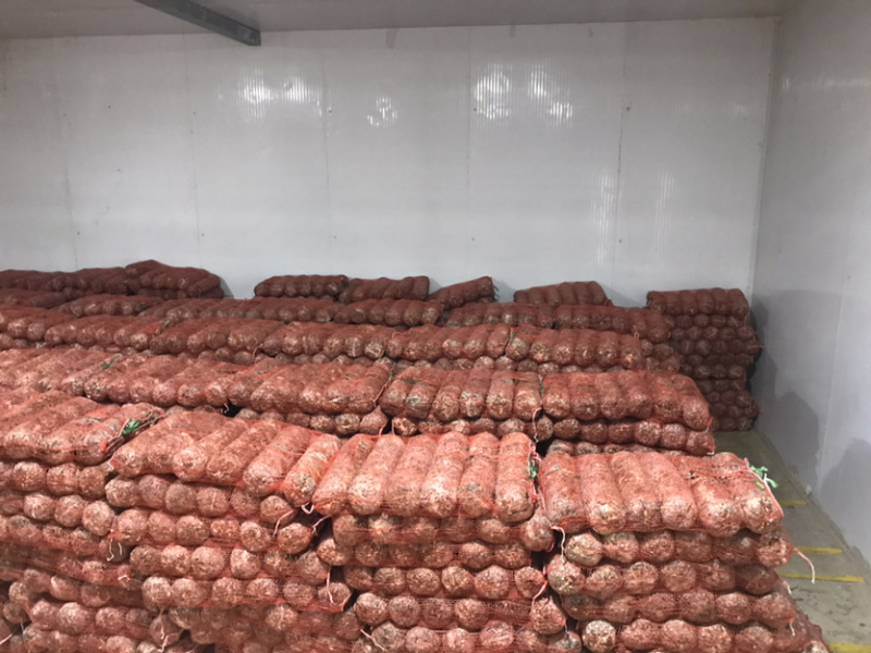 香菇花菇菌棒专业产出基地