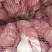 川蒜蒜种。精品红根蒜种，杂交蒜。精品蒜瓣。