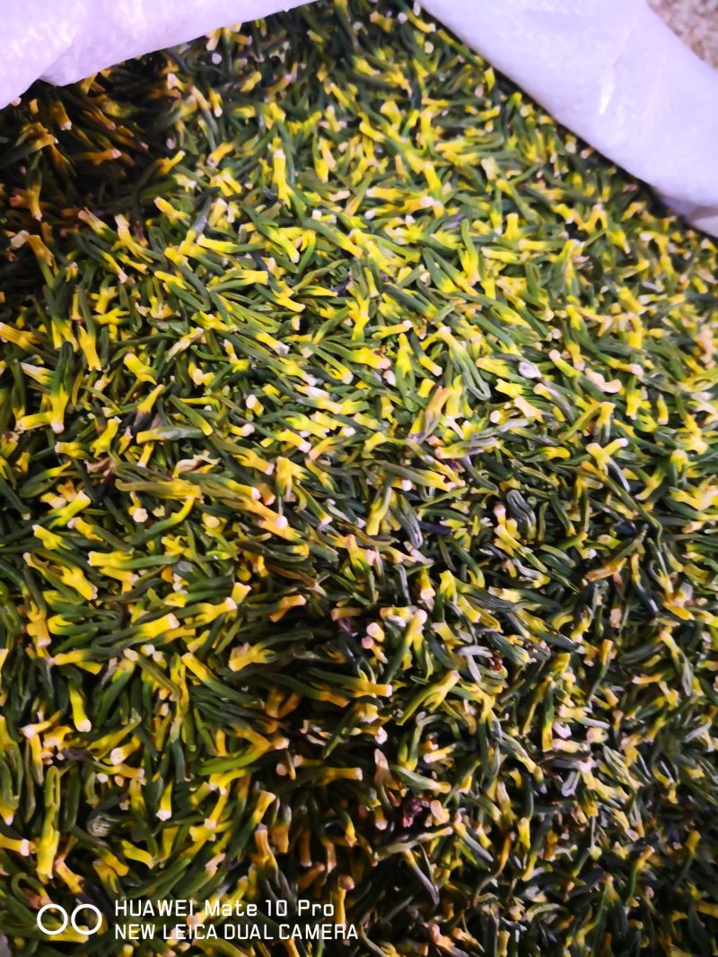 莲子芯选货无杂质各种规格量大从优单斤包邮