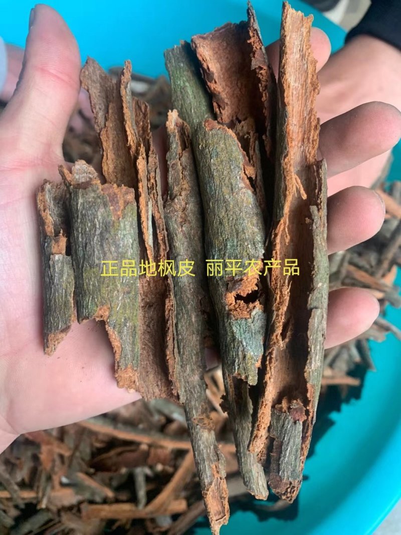 地枫皮正品野生高含量（选装货）一公斤起包邮