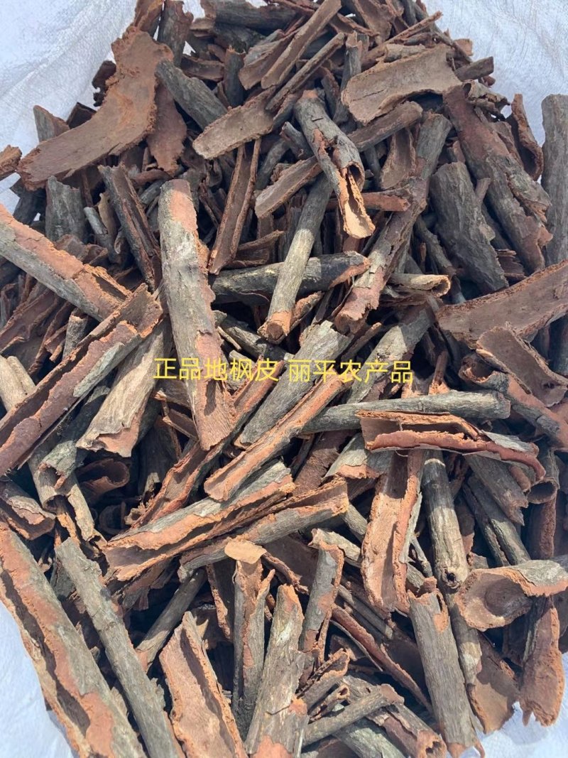 地枫皮正品野生高含量（选装货）一公斤起包邮
