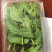 基地供应小叶留兰香薄荷