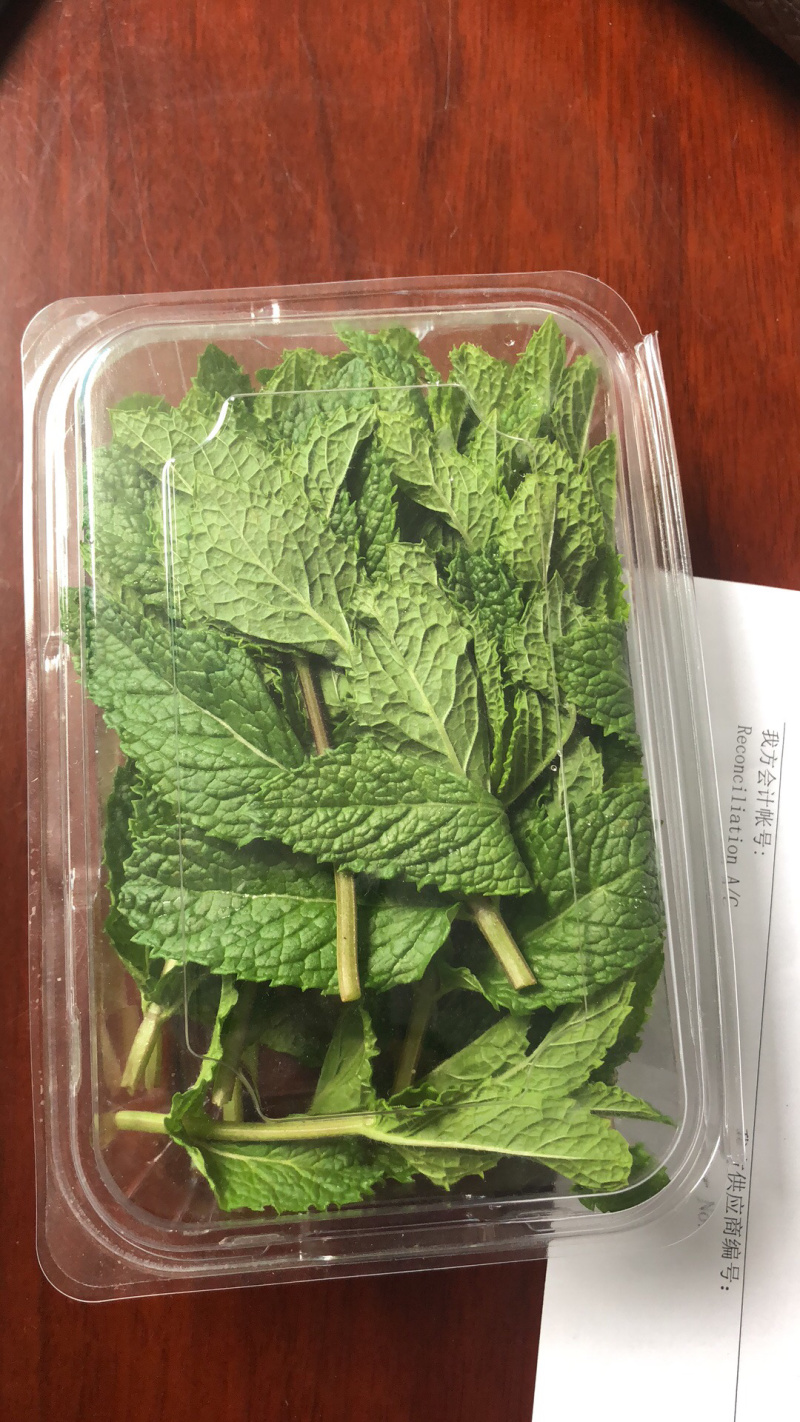 基地供应小叶留兰香薄荷