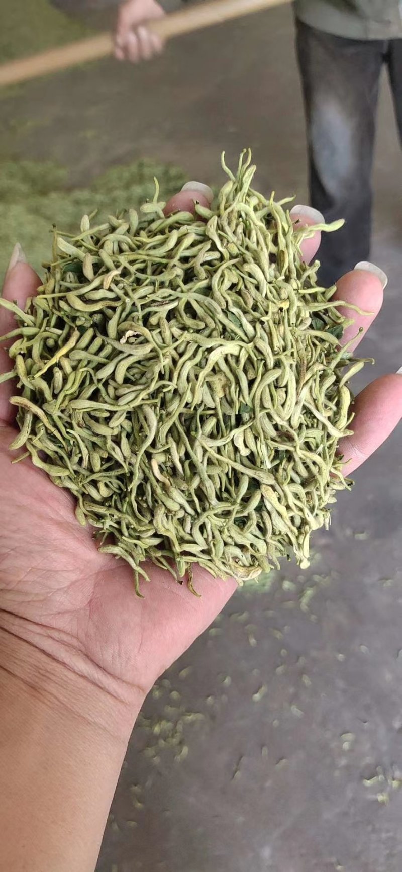 金银花是中药材，有延年益寿，美容的功效