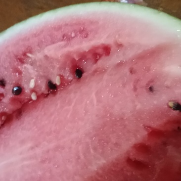 是8424精品头茬西瓜