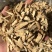 昌玉药材黄芪指甲片产地直销