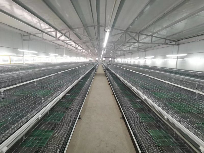 全自动电脑控制的养兔设备加工订做生产安装。