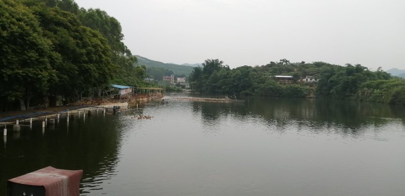 土鸭蛋