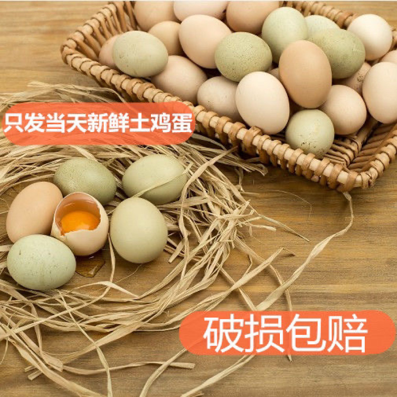 农家散养土鸡蛋/现捡现发/破损包赔，山林里吃草吃虫吃玉米