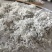 湘西高山雪茶