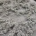 湘西高山雪茶
