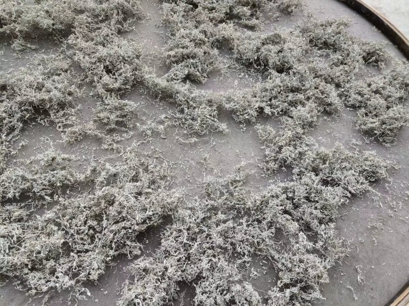 湘西高山雪茶
