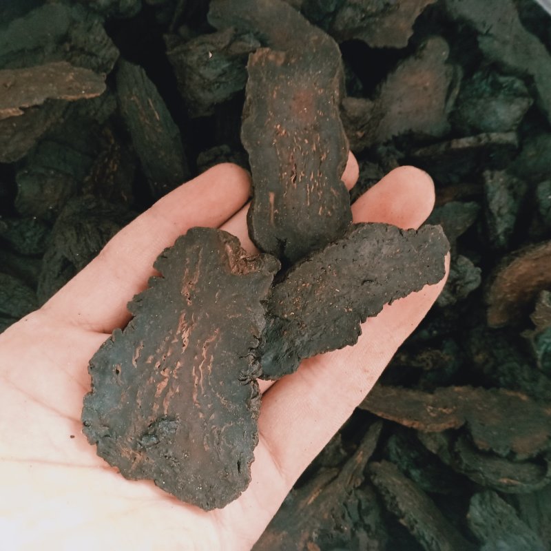 肉苁蓉新疆油苁蓉2020新货大量上市需要制的联系